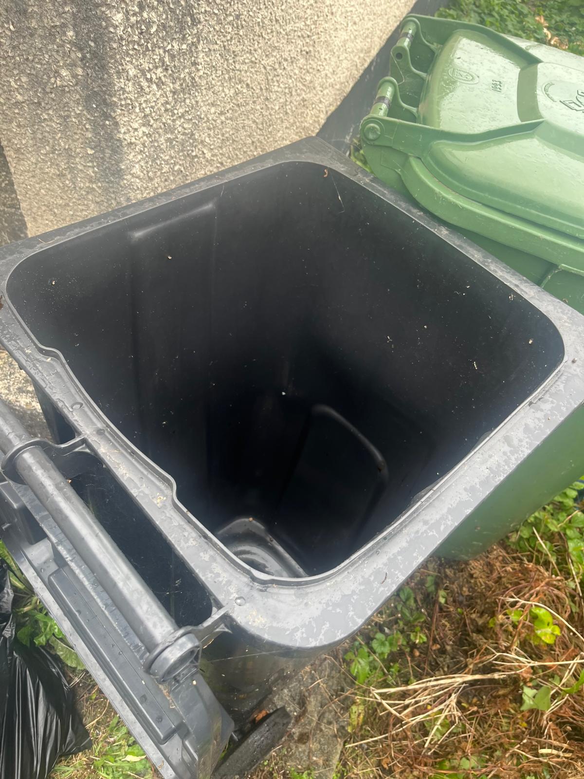 Empty wheelie bin after Lanora House removed the bags