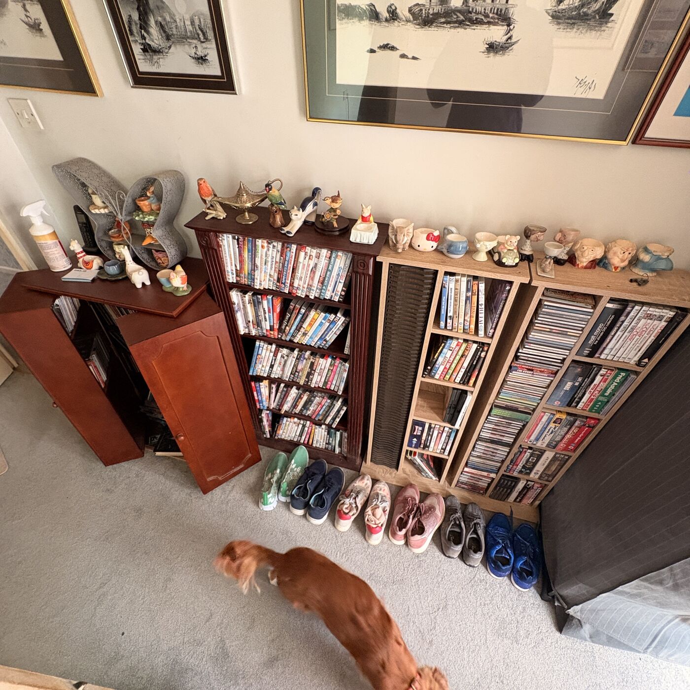 Before 4, House Clearance in Mount Hawk, Cornwall, The Egg Cup Collection