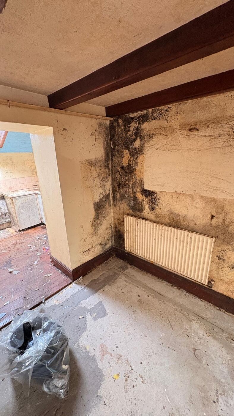 Before 4, Hoarder House Clean St Just, Cornwall