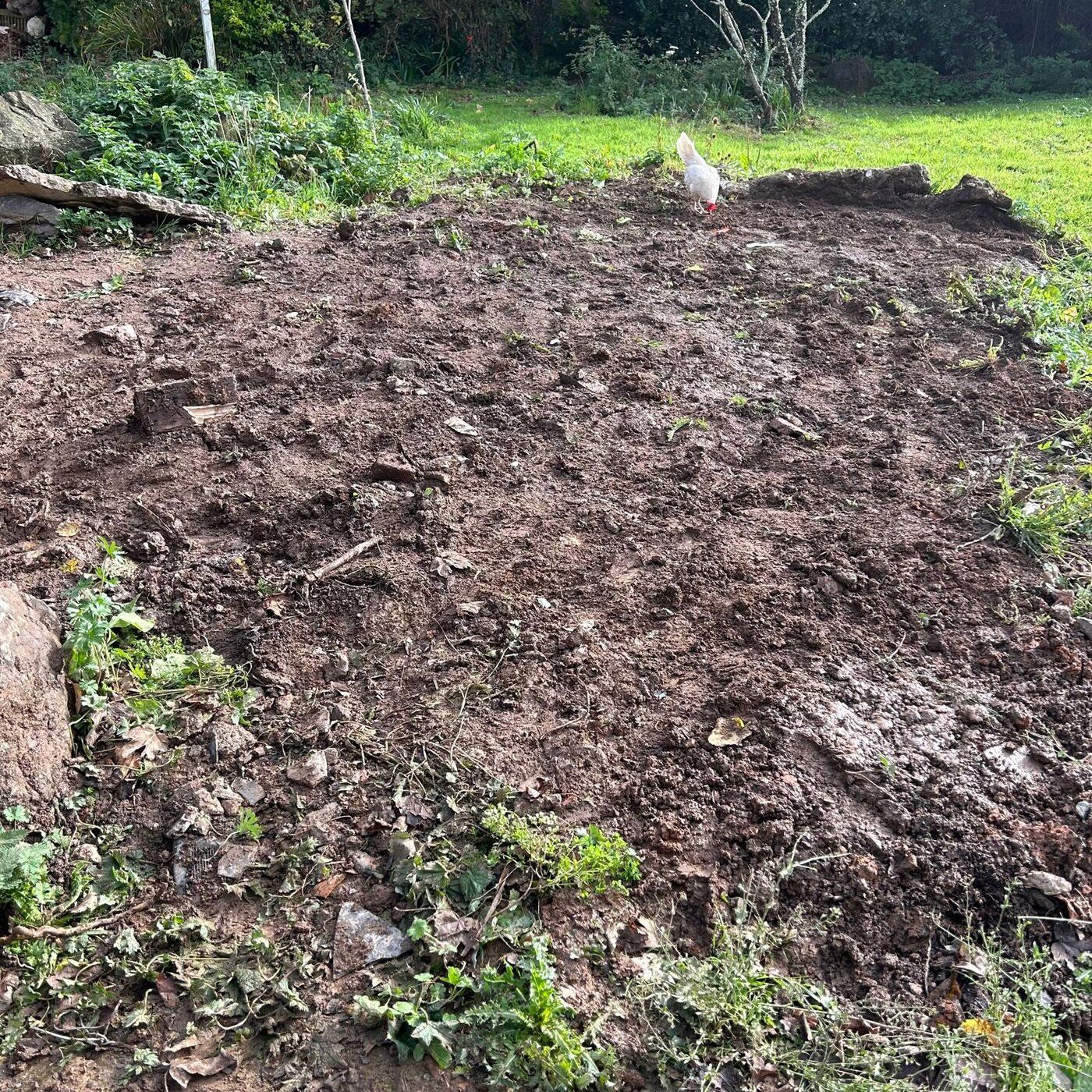 After, Soil Removal Leedstown, Cornwall