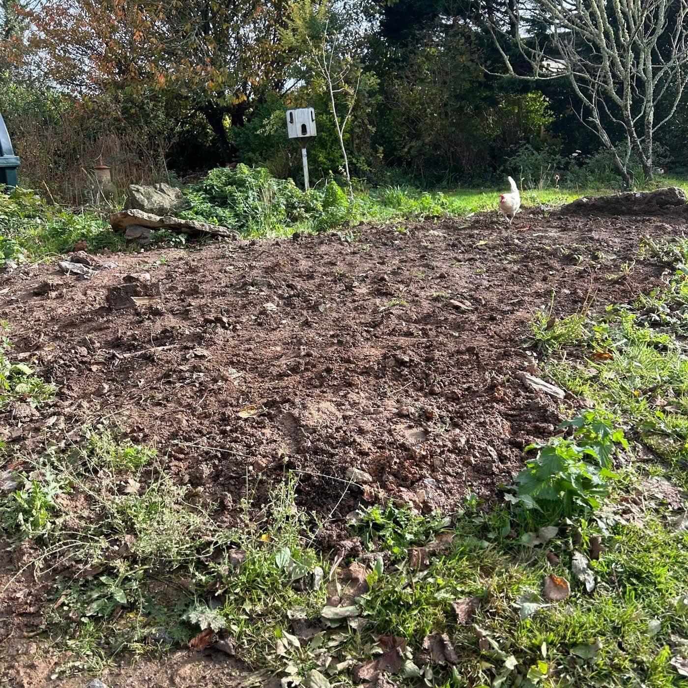 After 2, Soil Removal Leedstown, Cornwall