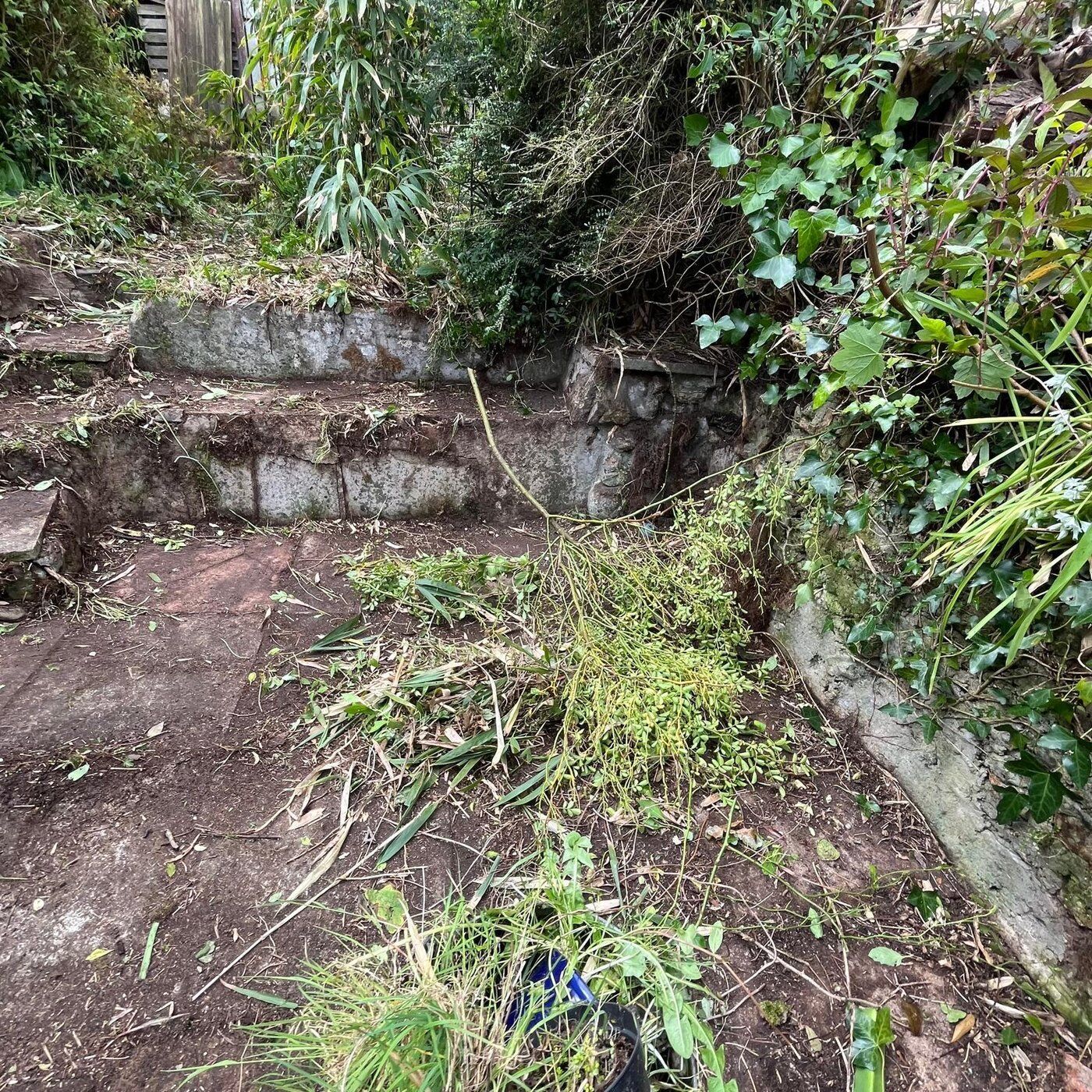 Before, Garden Clearance Higher Drift, Cornwall