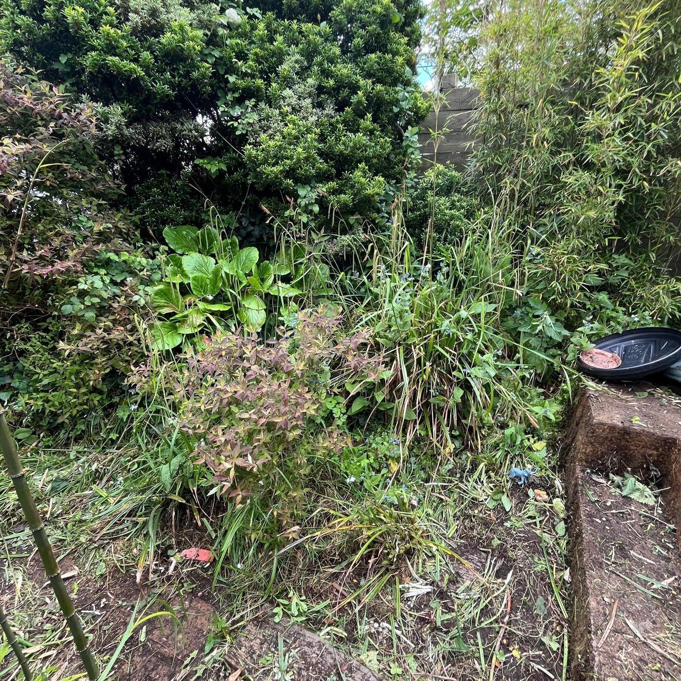 Before 3, Garden Clearance Higher Drift, Cornwall