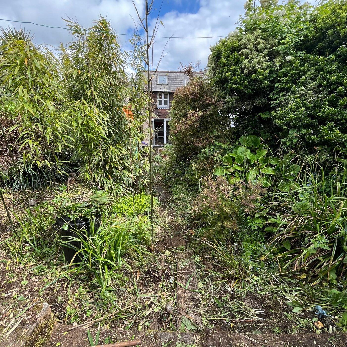 Before 9, Garden Clearance Higher Drift, Cornwall