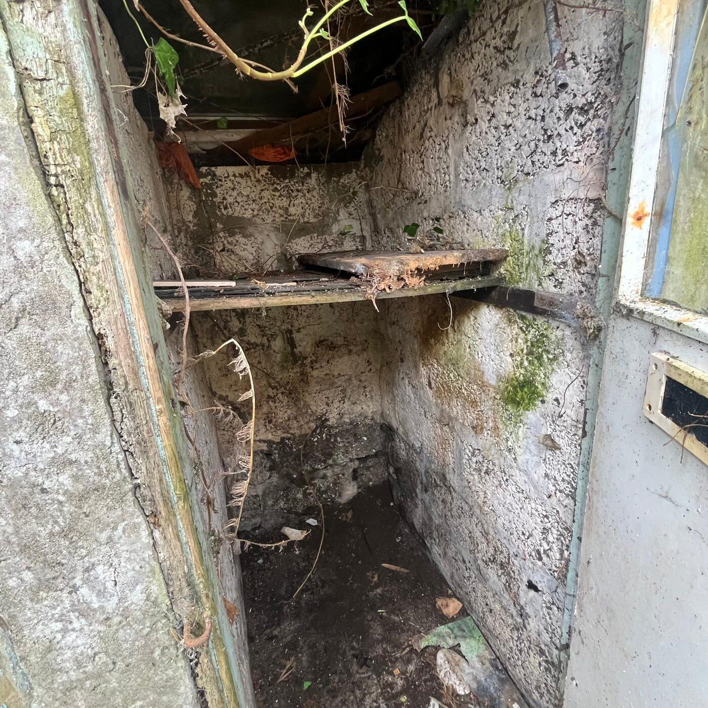 After 3, Garden Clearance Higher Drift, Cornwall