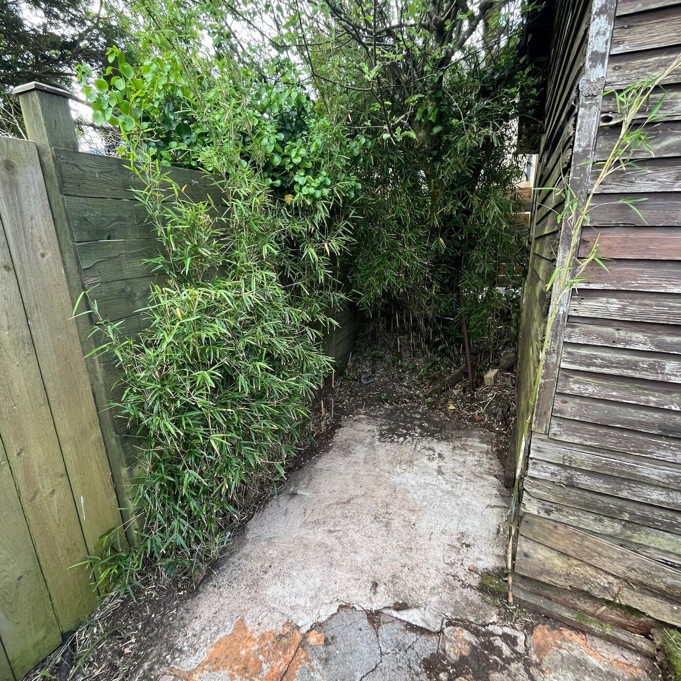 After 5, Garden Clearance Higher Drift, Cornwall