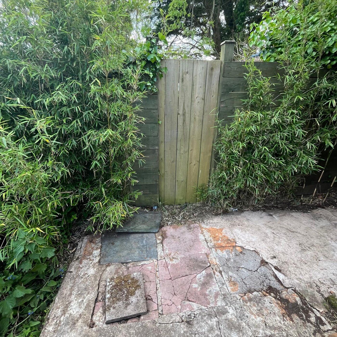 After 10, Garden Clearance Higher Drift, Cornwall