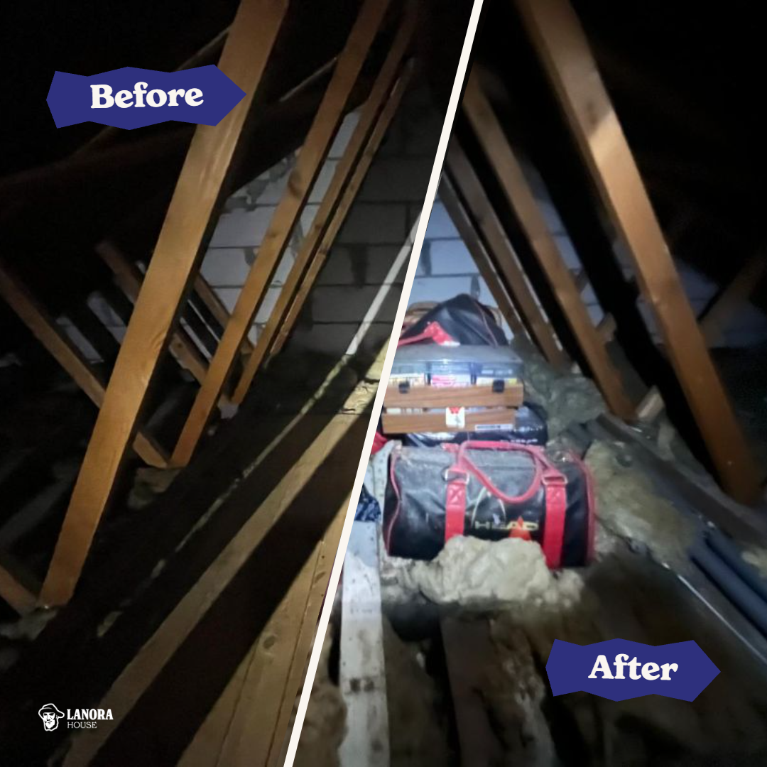 Loft and Attic Clearances in Cornwall: We Go Up and Photograph It First
