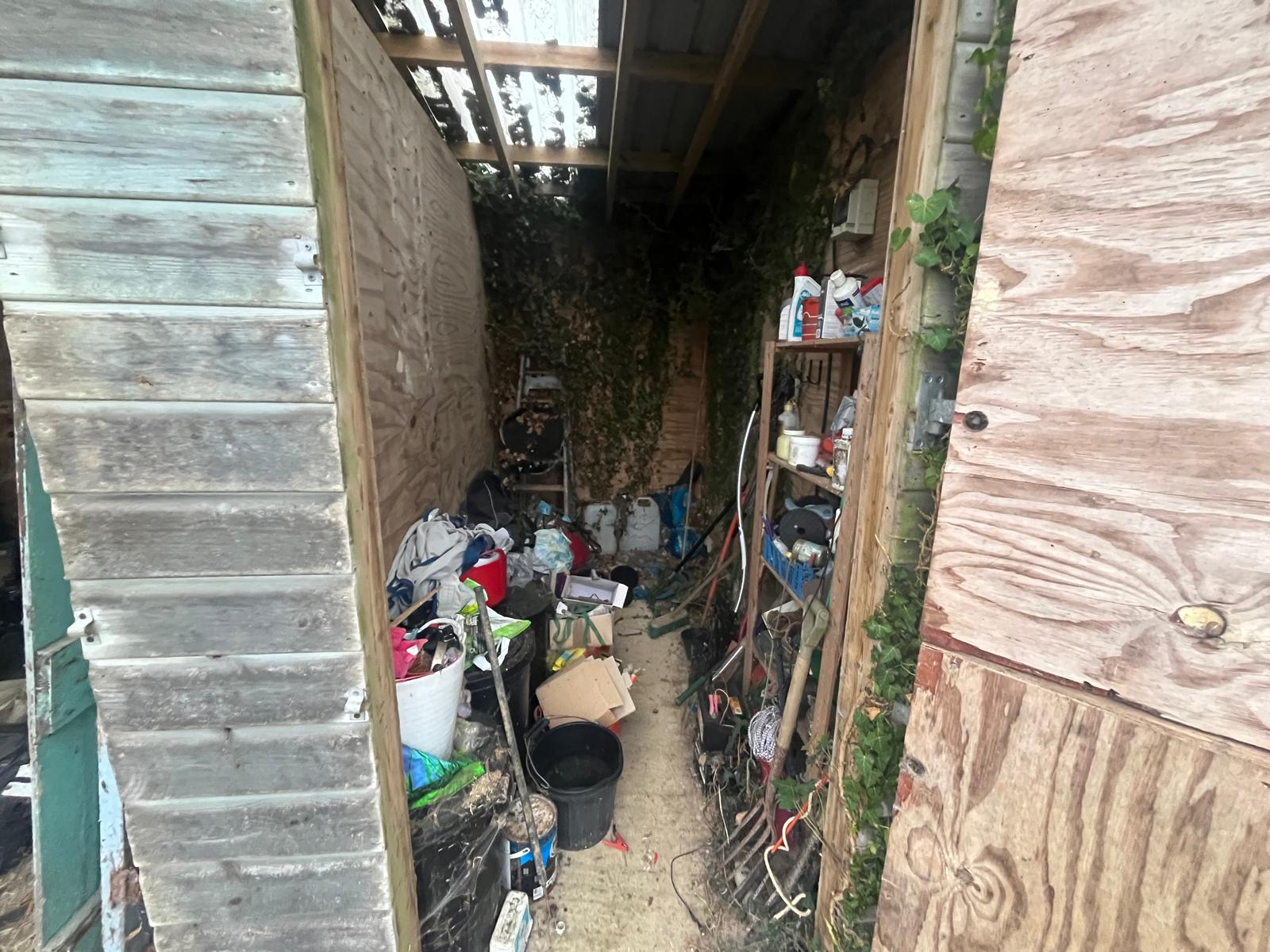 Timber shed with ivy growing through the back wall and roof, floor covered in buckets, bottles and garden tools